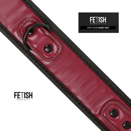 FETISH SUBMISSIVE® – DARK ROOM COLLAR & LEASH - Image 8