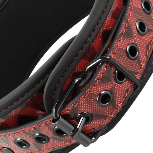 BEGME FETISH® – PREMIUM COLLAR w/ LEASH (red edition) - Image 4