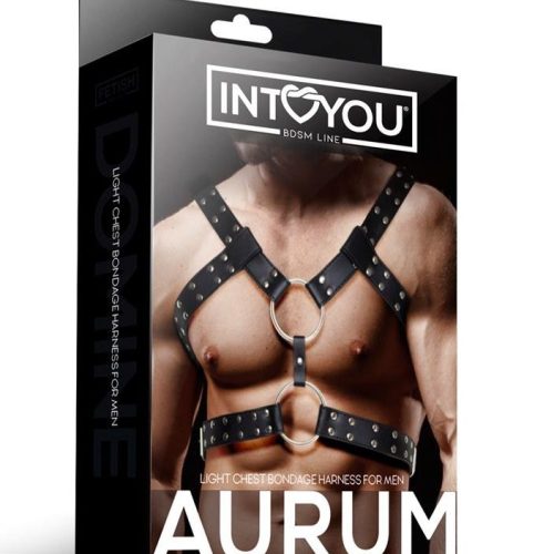 INTOYOU® – AURUM «ARNÊS CORPORAL MASCULINO» - Image 3